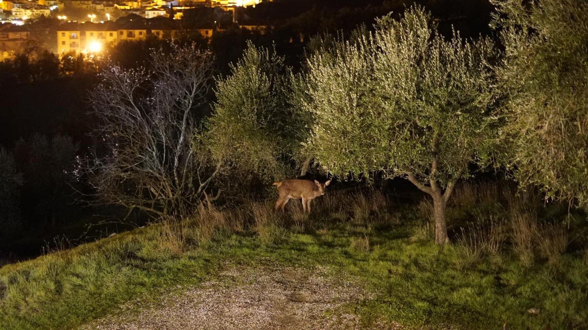 Villa Salviati Prato  Dış mekan fotoğraf