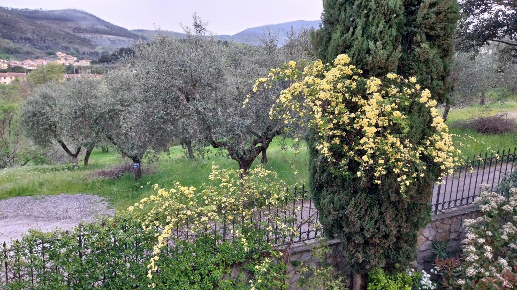 Villa Salviati Prato  Dış mekan fotoğraf